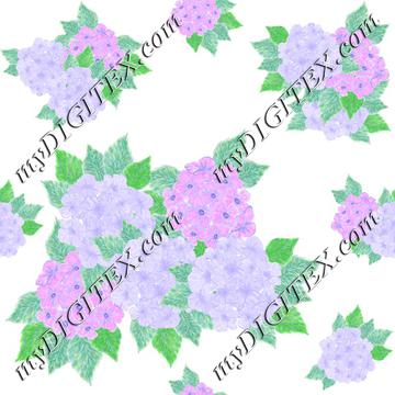 Floral 171008