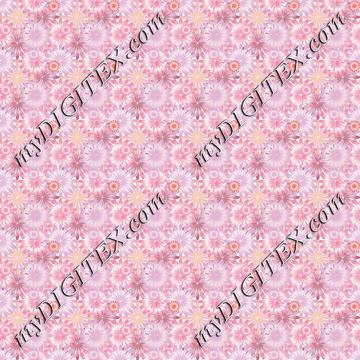 flowers 170604