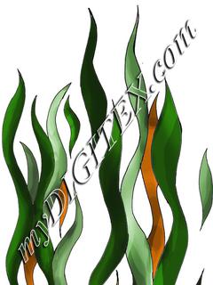 Soshie print