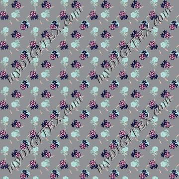 flower 6 C2 170510