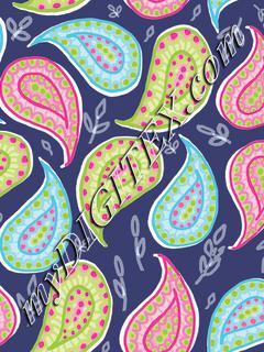 paisley for print2