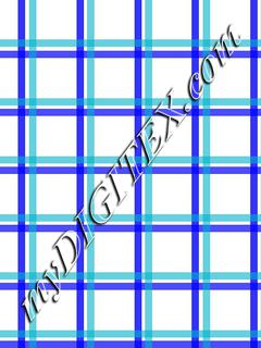 Blue gingham