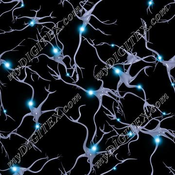 Neurons