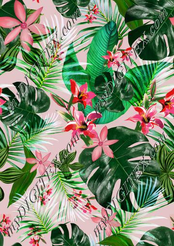 Tropical On Blush REPEAT
