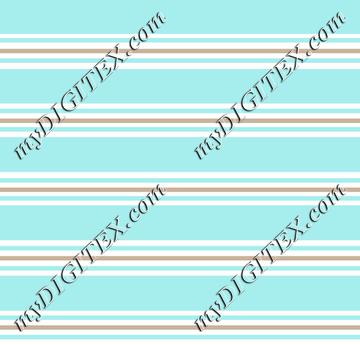 blue stripe 2