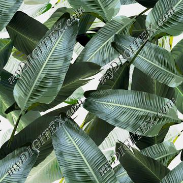 Palm Banana Leaf REPEAT