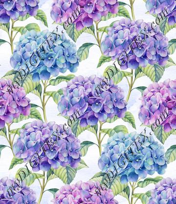 Hydrangea Hues