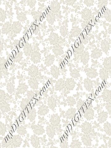 aC106066MRS 1