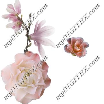 aC128298MRS