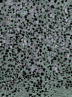 D016508