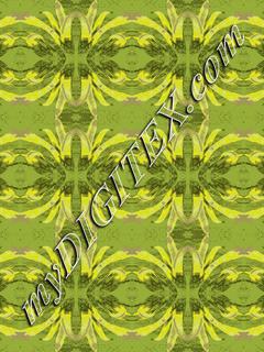 bondi bonds 3