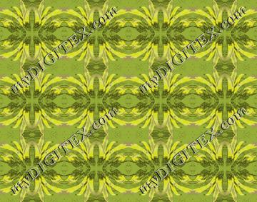 bondi bonds 3