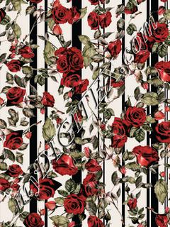 classic red roses stripes
