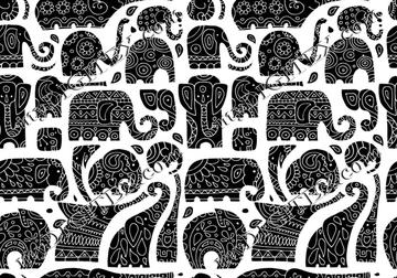 Elephants