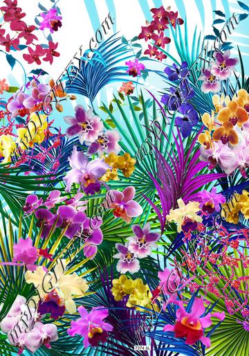 1006673    7374 SL orchidee r9_