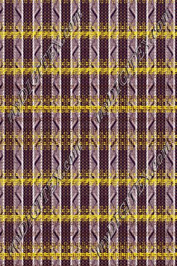 sh_446_G-1_C#1