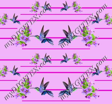 Hummingbird 11