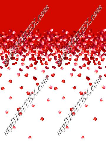 MJ2245B