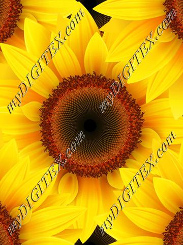 Sunflowers for Sharon