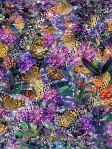 butterflies   digitex dram pholab paint revised300-2977 (3)300
