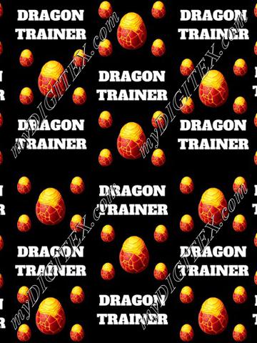 Dragon Trainer