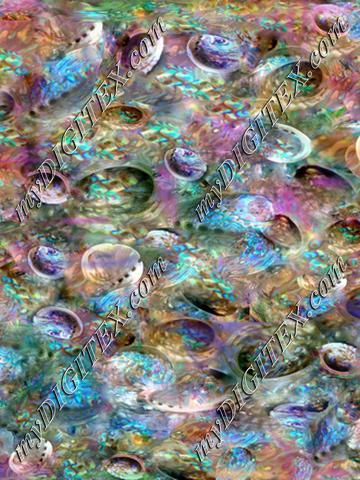 abalone rainbow edge 300 dpi300 (3)