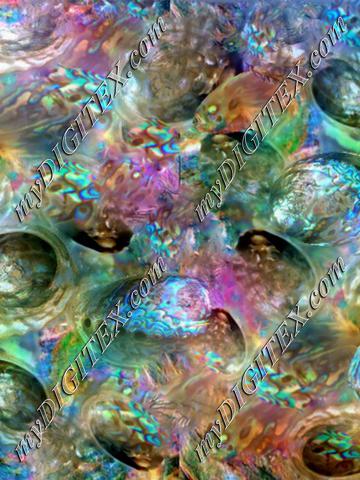 abalone enhanced we transfer