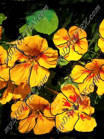 nasturtium photoshop fabric