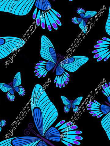 Blue morpho butterflies