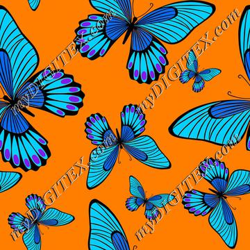 Blue butterflies on orange