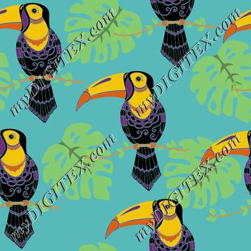 Toucans tropical birds