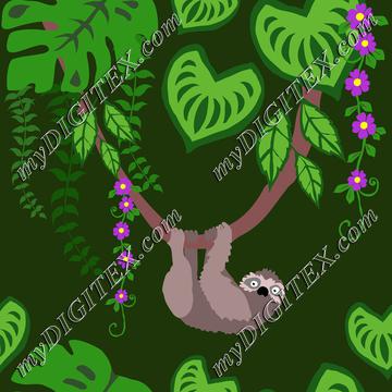 Sloth tropical animal in the rainforest