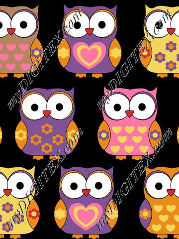 Cute owls on black