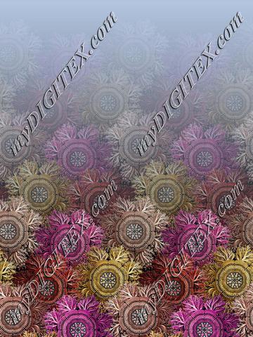 Nz3570
