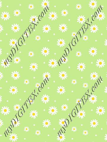 daisies_green