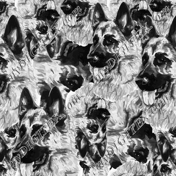 1_190208_7K9B