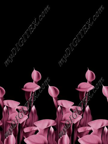 TR_000081