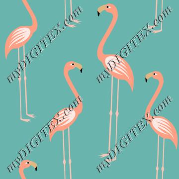 Pink flamingospink flaminosFlamingos living coral