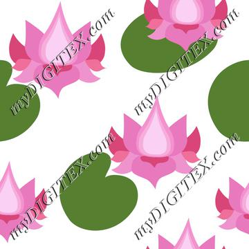 Pink lotusflowers lotuses