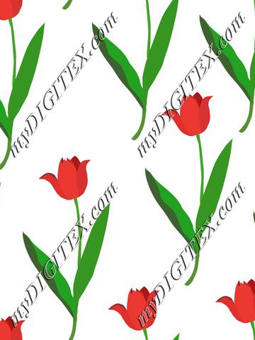 Red tulips on white