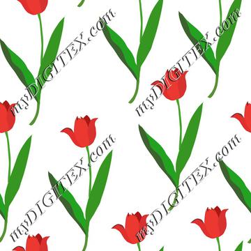 Red tulips on white