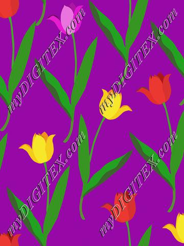 Colorful tulips on purple