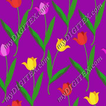 Colorful tulips on purple