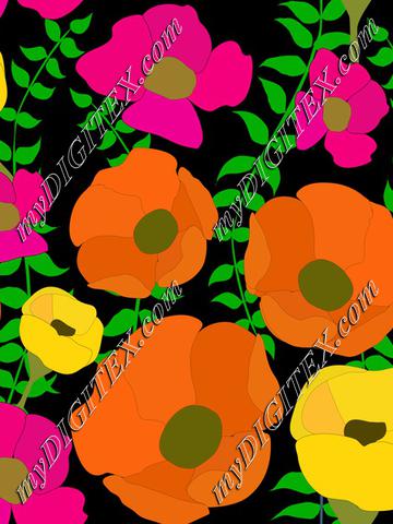 Colorful poppy summer flowers on black