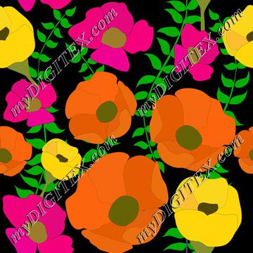 Colorful poppy summer flowers on black