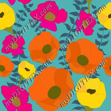 Colorful summer poppy flowers