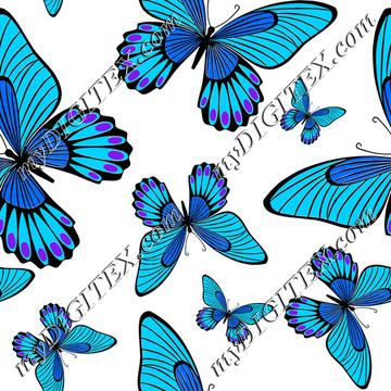 Blue Morpho Butterflies on White