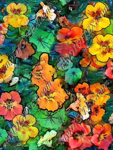 nasturtiums-20190512_183407-_3_.DPI_234