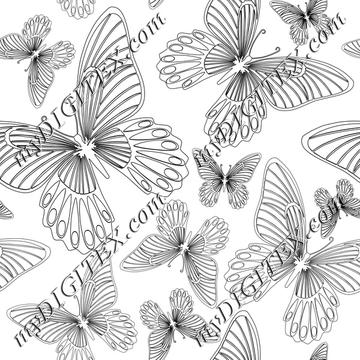 Butterflies Black and White