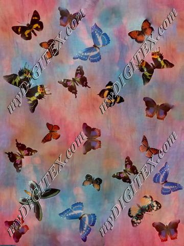 butterfly sunset png-2-1800222